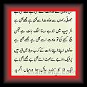 shaz1ft 01 * 623 x 927 * (75KB)